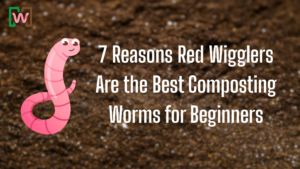 7 reasons red wigglers are the best