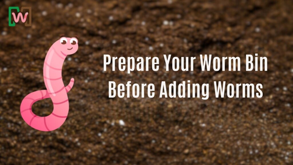 Prepare Your Worm Bin Before Adding Worms