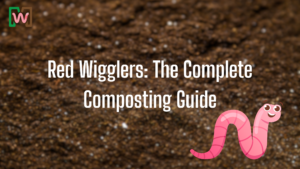Red Wigglers The Complete Composting