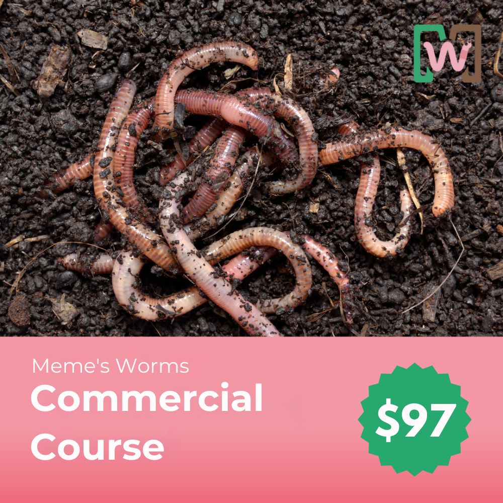 Commercial Course