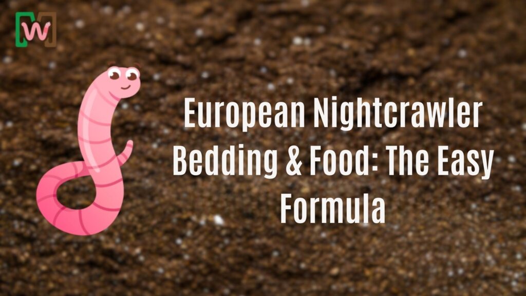 European Nightcrawler Bedding & Food: The Easy Formula