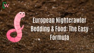 European Nightcrawler Bedding & Food: The Easy Formula