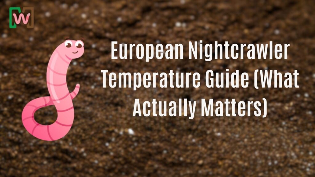 European Nightcrawler Temperature Guide (What Actually Matters)