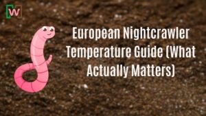 European Nightcrawler Temperature Guide (What Actually Matters)