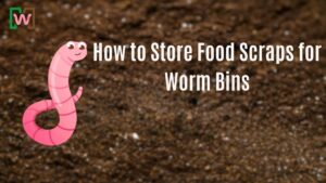 How to Store Food Scraps for Worm Bins
