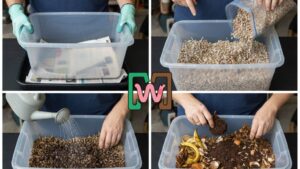 How Do I Make a Worm Bed