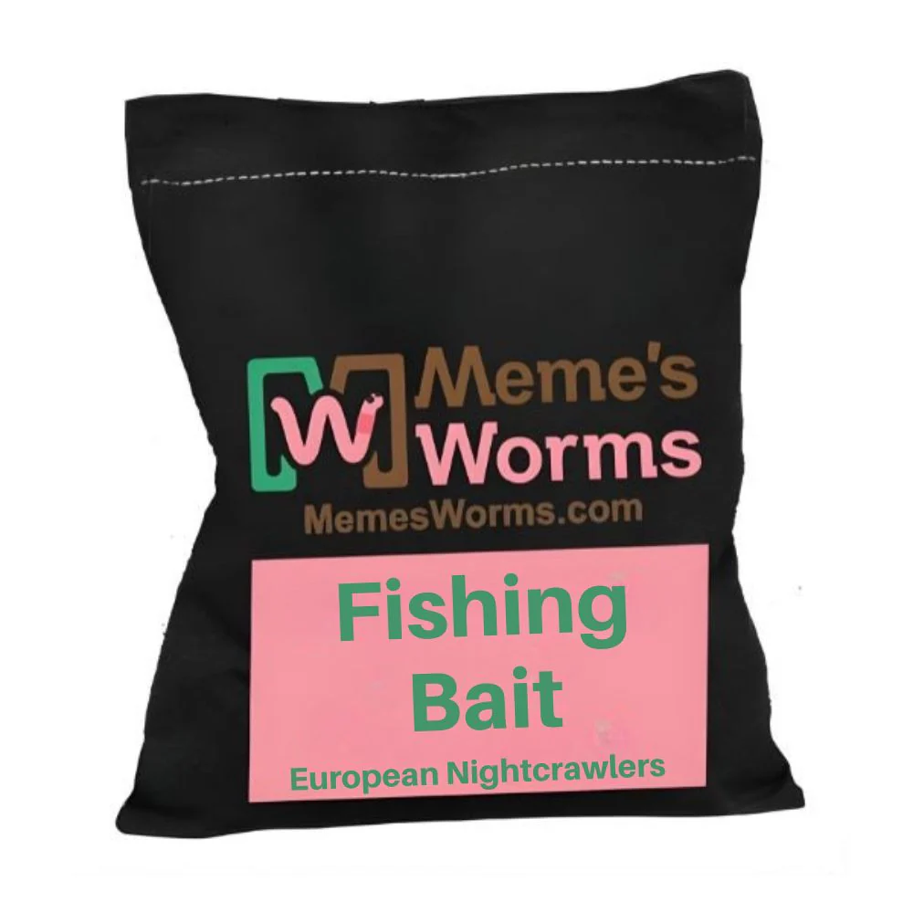 Live Fishing Bait for Sale